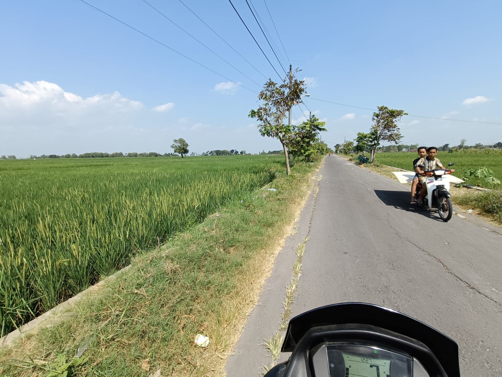 Lahan persawahan di Desa Bonagung, Kecamatan Tanon yang dilirik investor pabrik sepatu. (Ahmad Khairudin/Radar Solo)