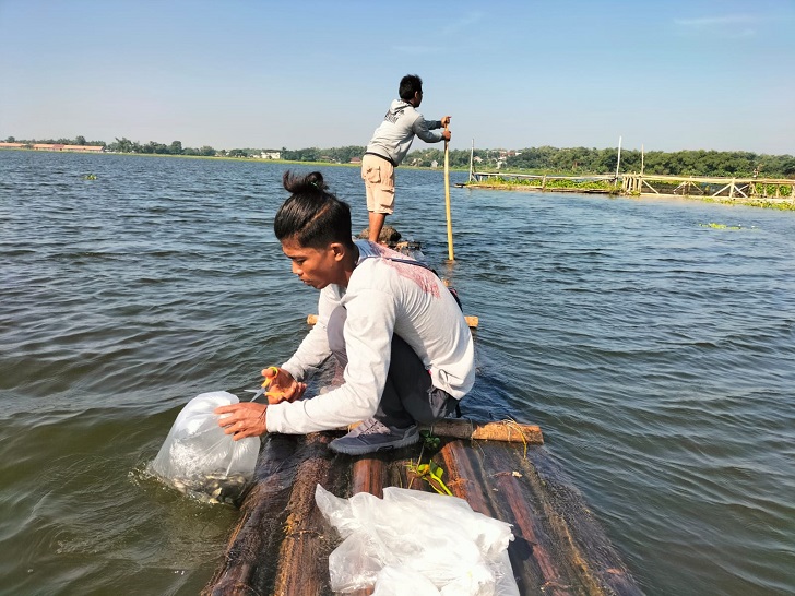Slamet, warga Desa/Kecamatan Banyudono, Boyolali tebar ribuan benih ikan di Waduk Cengklik, Senin (20/5/2024).