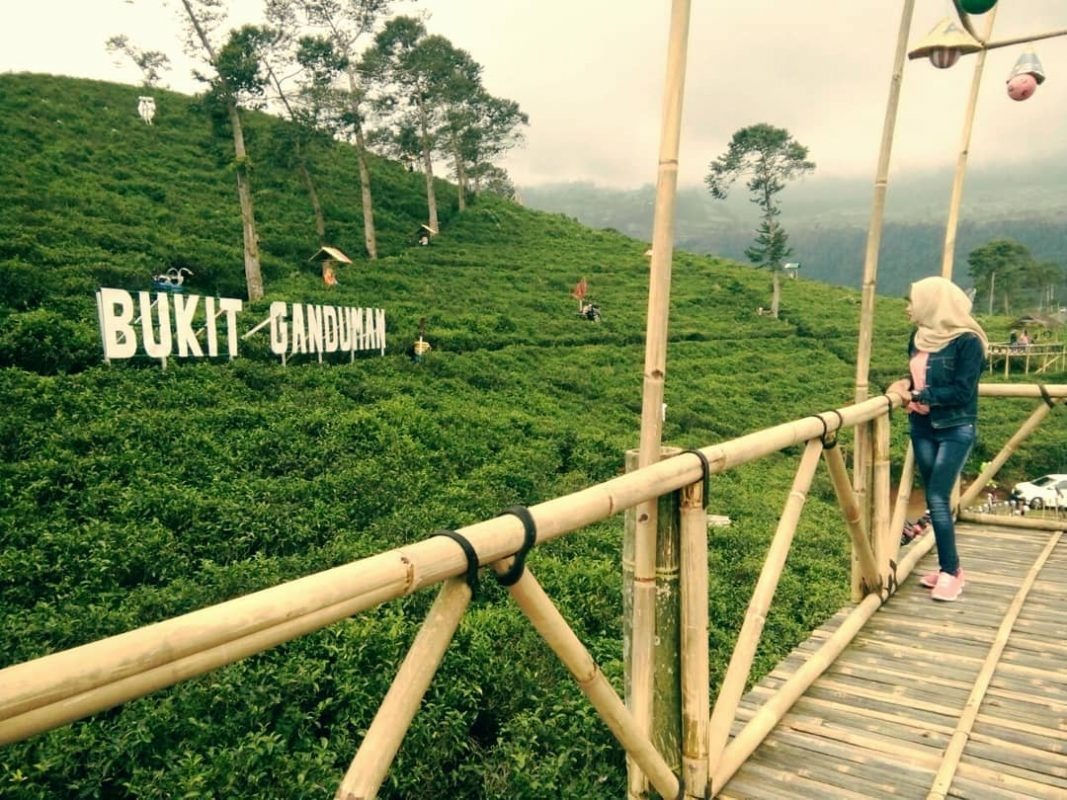 Suasana di Bukit Ganduman.