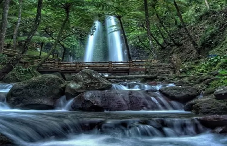 Air Terjun Pringgodani.