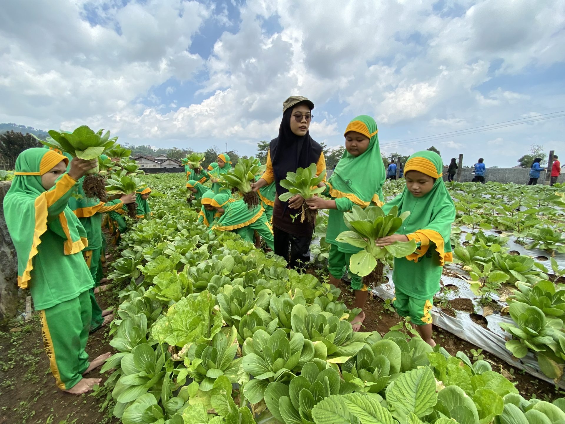 Anak-anak tengah belajar bercocok tanam di Agrowisata Amanah, Karanganyar.