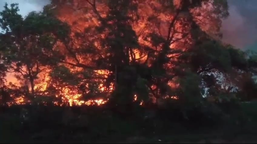 Saking besarnya api yang membakar kandang peternakan ayam sampai terlihat hingga seberang Sungai Bengawan Solo.