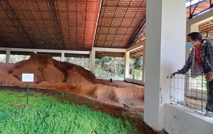 PRIHATIN: Pengunjung melihat tanah gersang yang diawetkan dalam bangun joglo di Monumen Tanah Kritis, Desa Sukosari, Kecamatan Jumantono, Karanganyar.