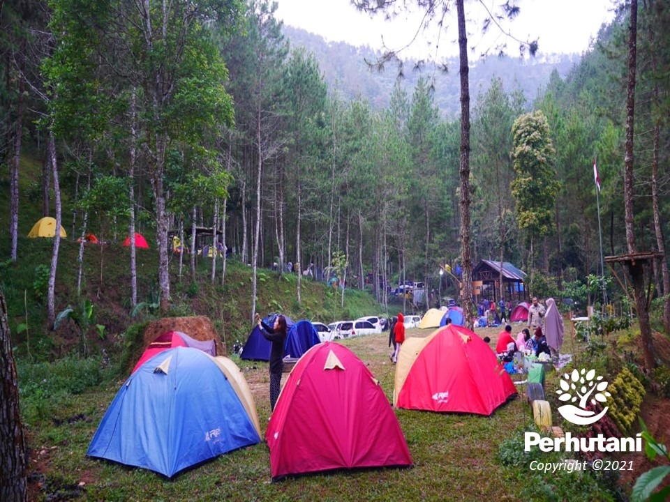 Suasana di Bumi Perkemahan Pleseran.