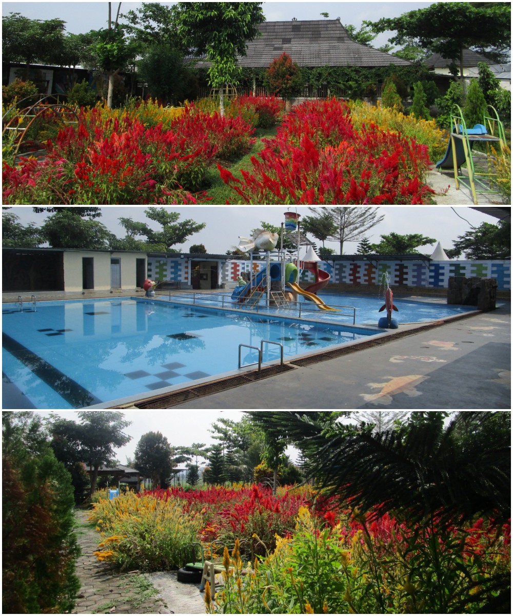 Kolase foto Agrowisata Kembang Desa Dawung di Matesih, Karanganyar.