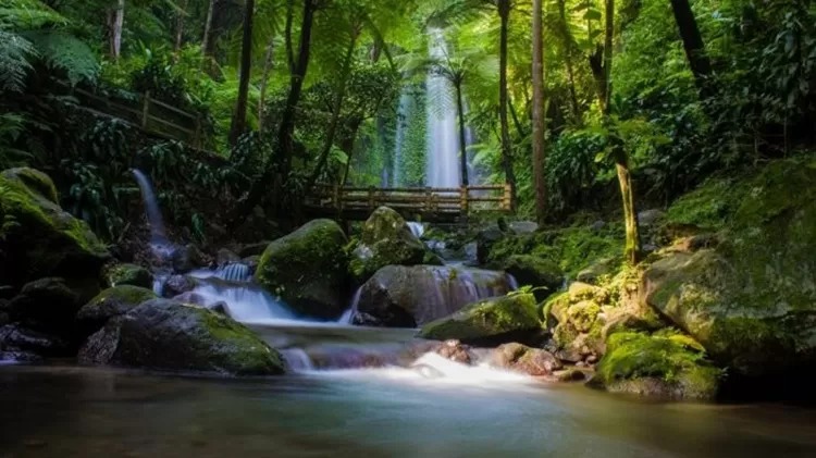 Pesona Air Terjun Jumog yang lokasinya tidak terlalu jauh dari Kota Solo. Harga tiketnya bisa dibilang terjangkau dan daya tariknya juga tak kalah ciamik.