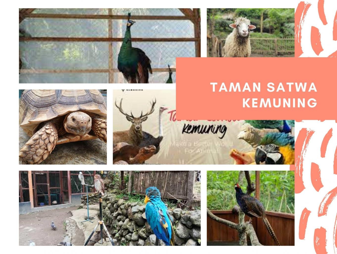 Ilustrasi Taman Satwa Kemuning.