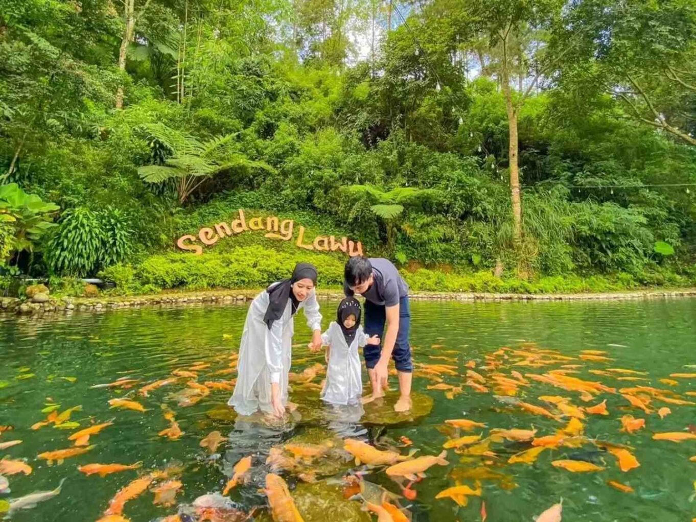 Pengunjung dapat bermain bersama ikan di Sendang Lawu.