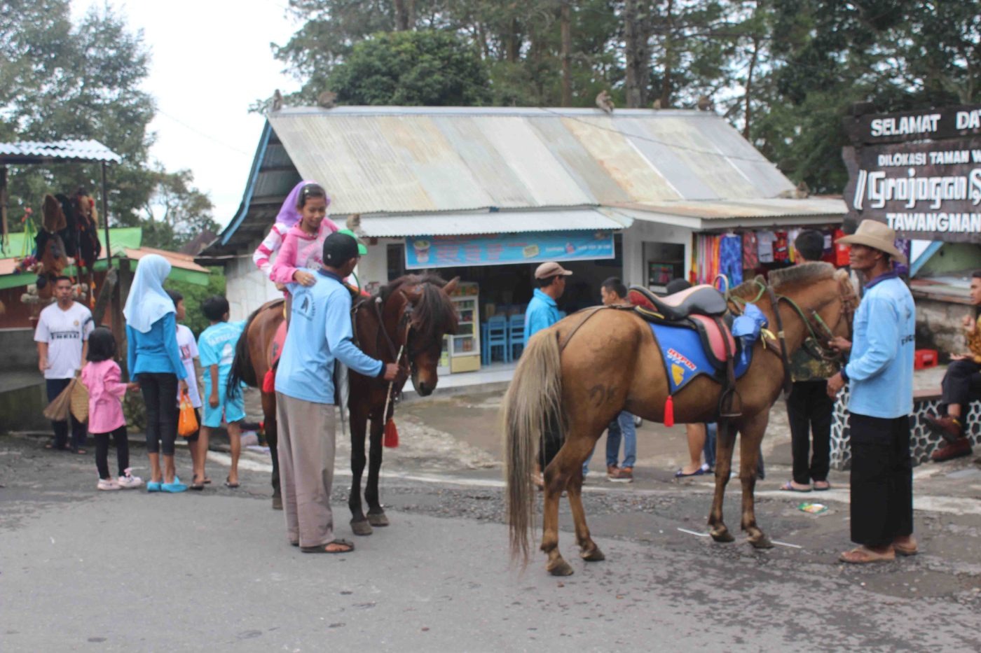 Sewa kuda wisata di kawasan Grojogan Sewu.