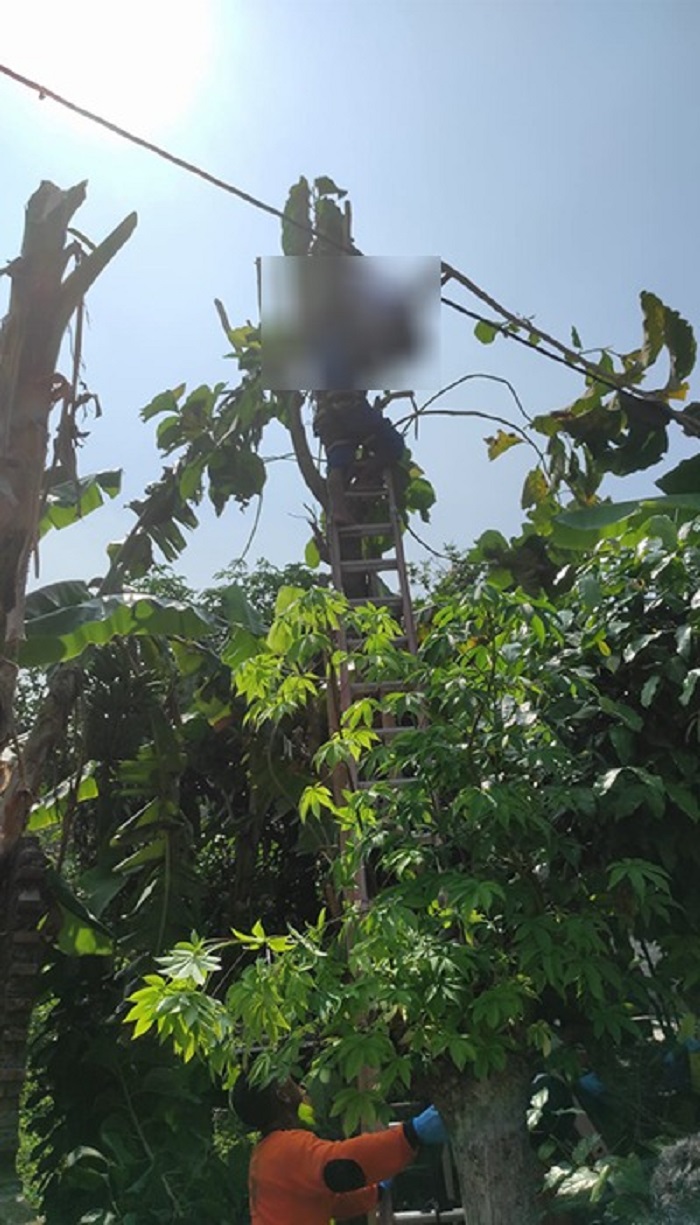 Evakuasi warga Karangdowo, Klaten yang meninggal dunia akibat kesetrum, Minggu (16/6/2024).