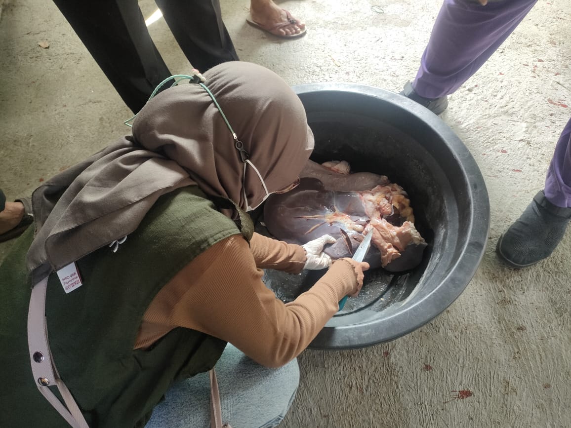 Tim Dinas Pertanian Wonogiri diterjunkan memeriksa hewan kurban, Senin (17/6/2024).