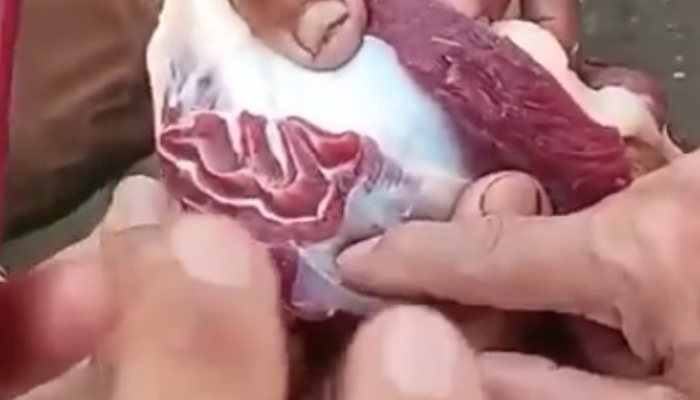 Potongan daging kurban dengan lafaz Allah di Palembang.