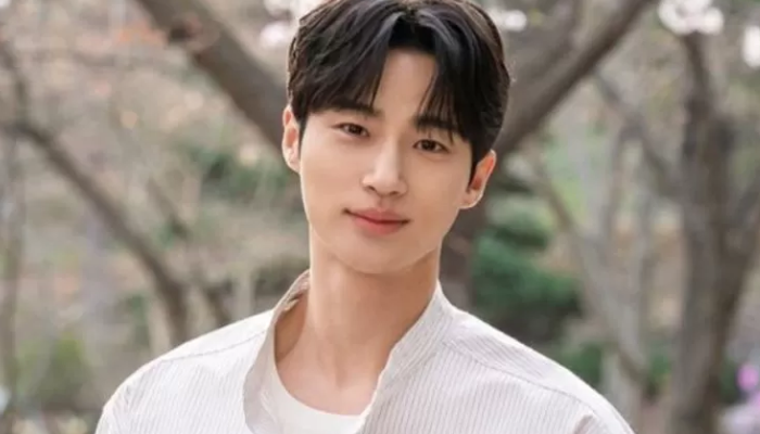 Aktor Korea Byeon Woo Seok.