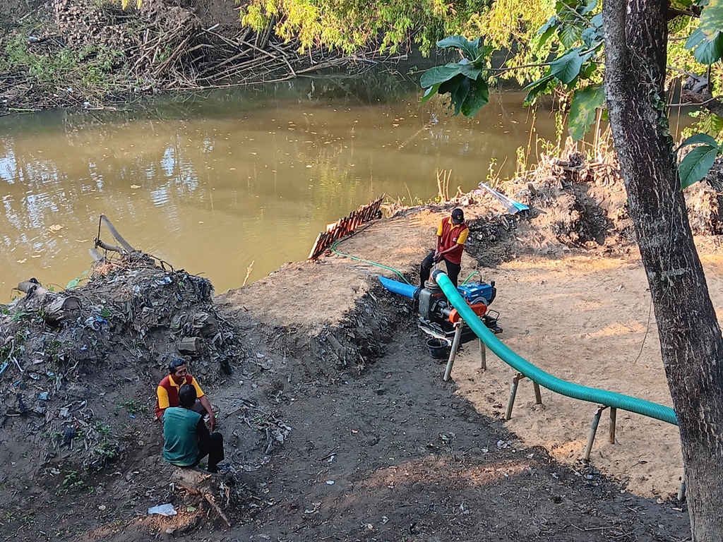 Pompanisasi pertanian di Desa Tumpukan, Kecamatan Karangdowo, Klaten. (Angga Purenda/Radar Solo)
