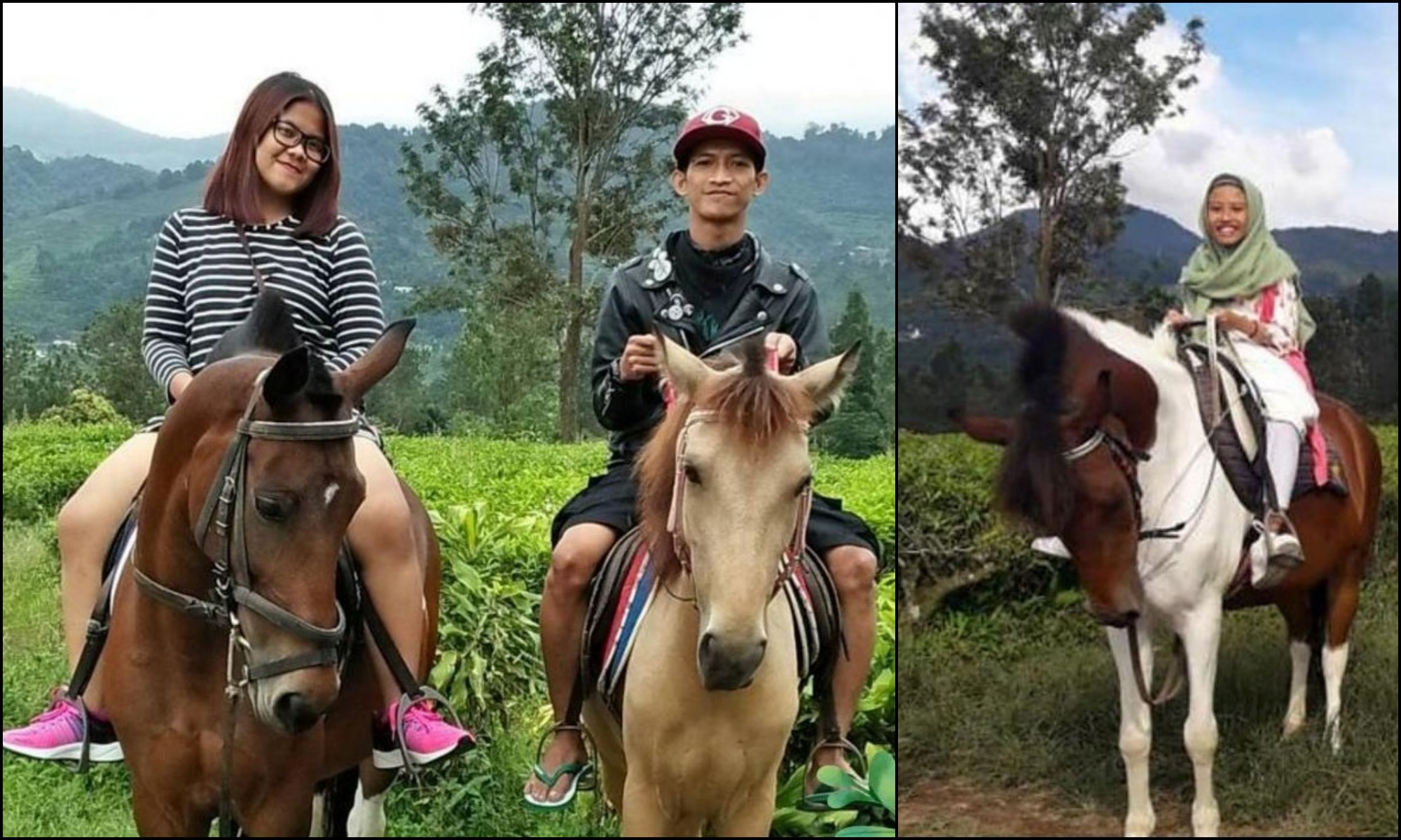 Kolase foto berkuda di kebun teh Kemuning, Ngargoyoso, Karanganyar.