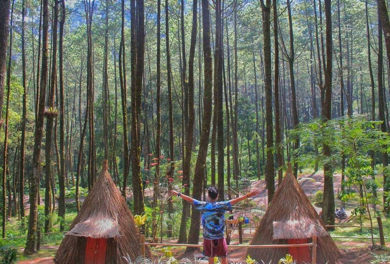 Suasana di Tahura Karanganyar.
