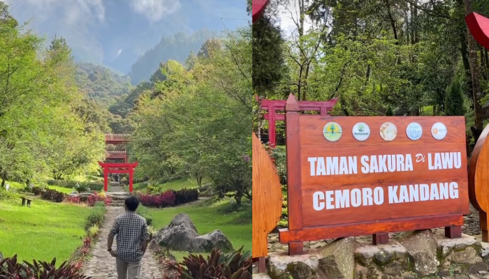 Taman Sakura Lawu alias Taman Sakral yang menyimpan keindahan dan kesejukan.