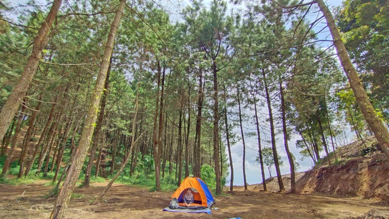 ASRI: Tempat camping dengan suasana pohon pinus di bukit Toyo Aring, Desa Wonorejo, Kecamatan Jatiyoso, Kabupaten Karanganyar.