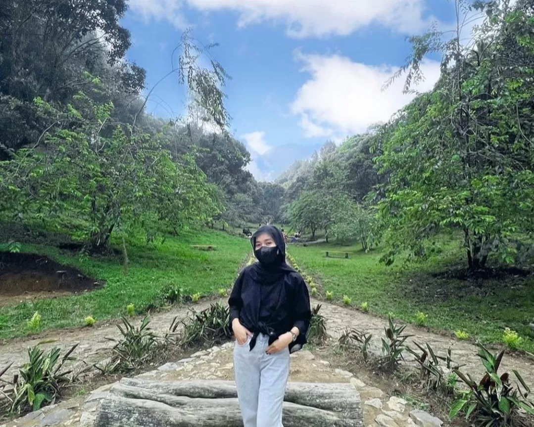 Taman Sakura Lawu,tempat wisata ala Jepang di dekat Solo yang ditanami pohon sakura asli.