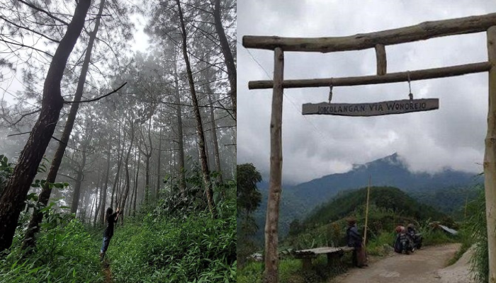 Jalur pendakian Bukit Jokolangan dan gerbang Jokolangan via Wonorejo di Wonorejo, Jatiyoso, Karanganyar.