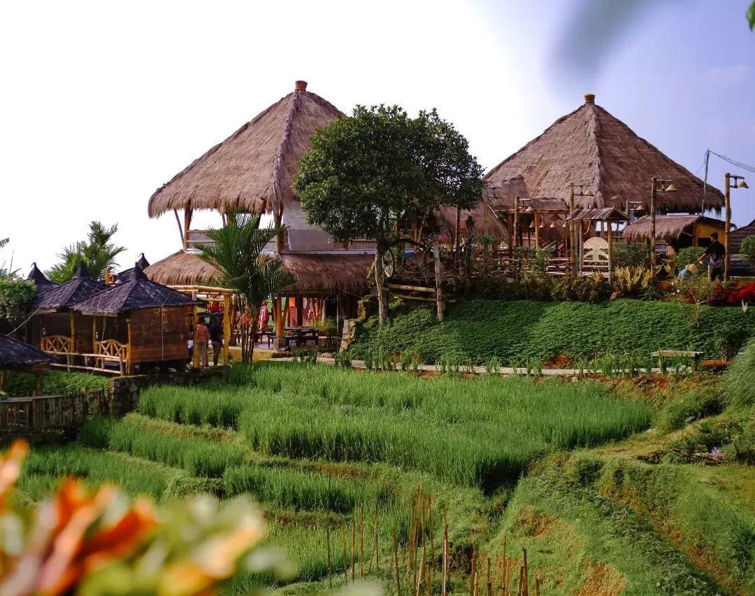 Resto Sawah, sebuat resto di Karanganyar yang menyajikan suasana seperti di Ubud, Bali.