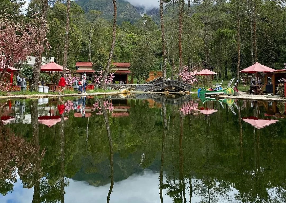 Sakura Hills, Tawangmangu, Jawa Tengah.