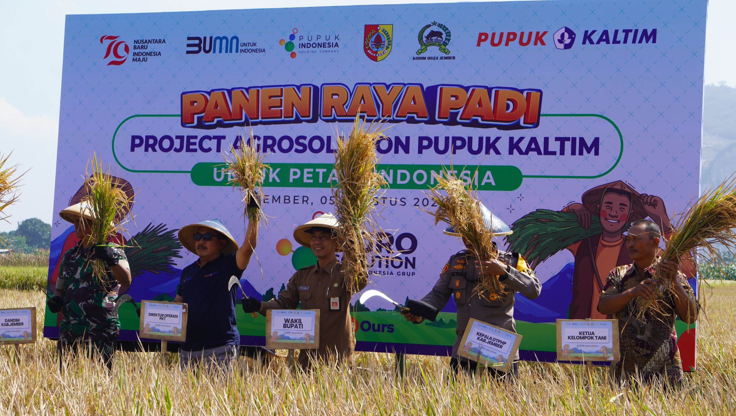 Panen perdana program Agrosolution di Jember yang dihadiri unsur Forkopimda setempat.