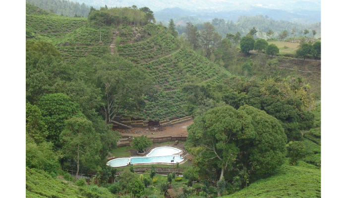 Kebun Teh Jamus, Ngawi yang menyuguhkan keindahan pemandangan alam.