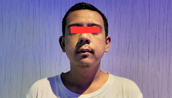 AP, pemeran pria sekaligus pelaku penyebar video syur Audrey Davis.