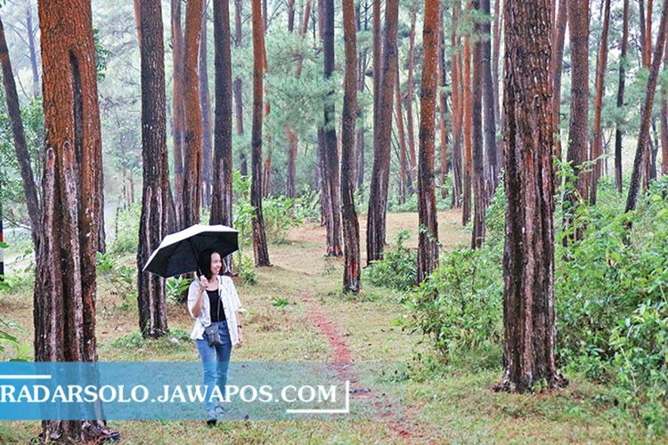 LEPAS PENAT: Salah seorang pengunjung, Christina Agustin menikmati panorama alam Hutan Pinus Suwondo di Kecamatan Wuryantoro, Wonogiri.