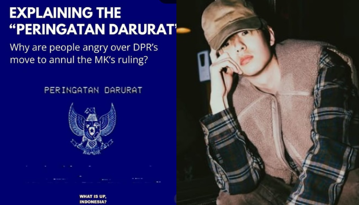 Peringatan Darurat Garuda biru yang diposting di akun Instagram musisi Korea eaJ Park.