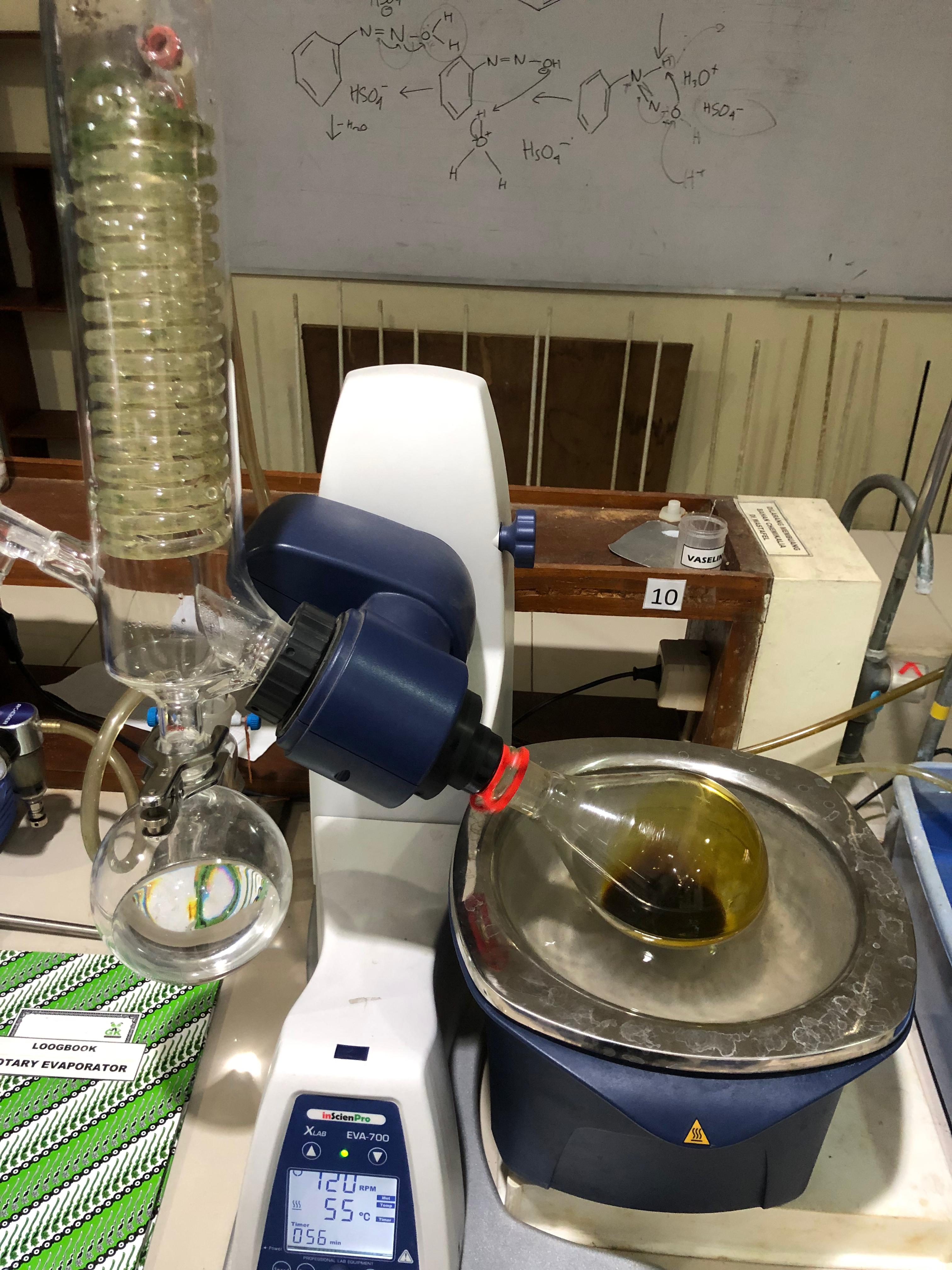 Proses penelitian dau ketepeng menjadi obat kanker oleh tim mahasiswa UNS. (Ist)