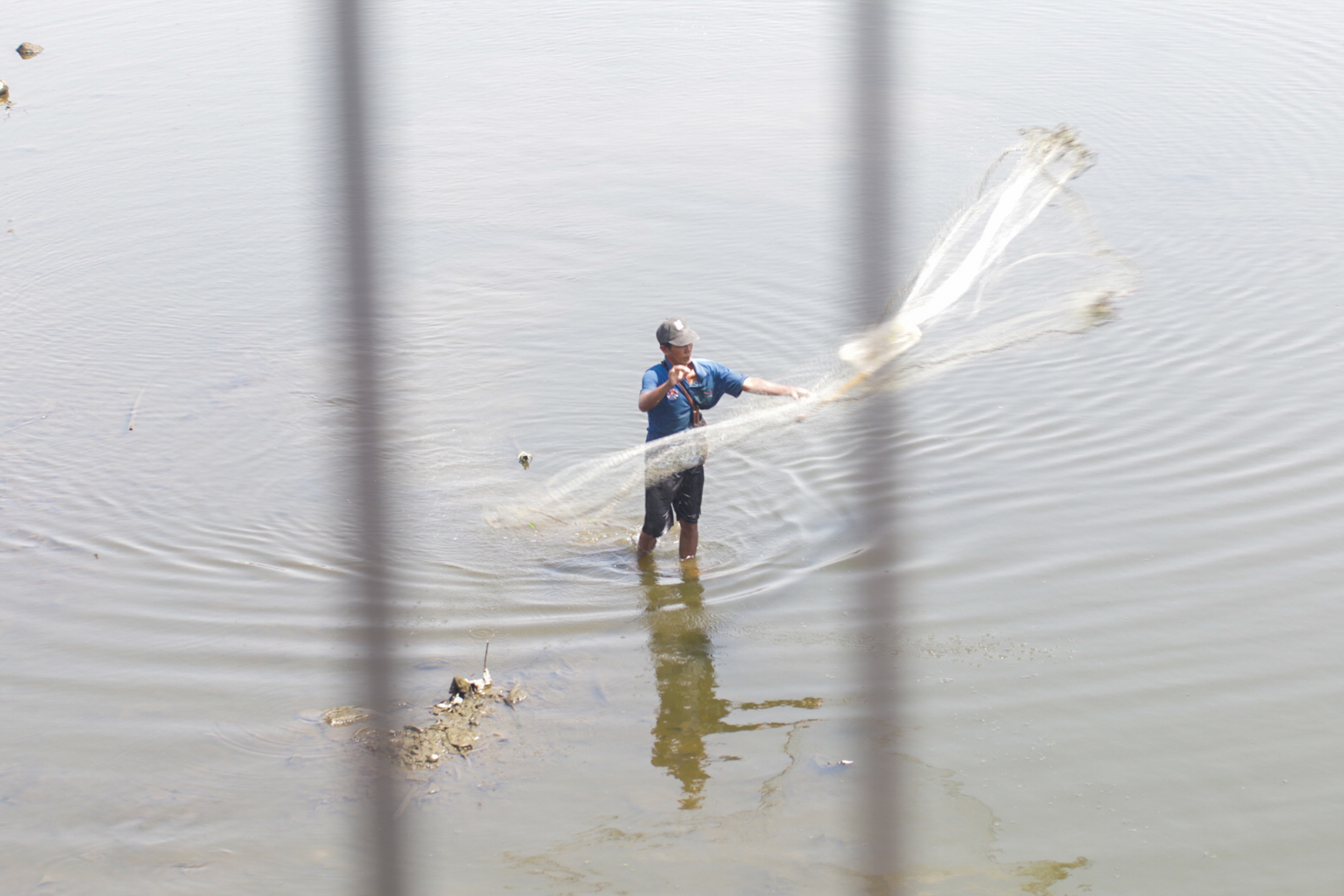 Seorang tengah menjaring ikan di aliran Kali Anyar Solo, belum lama ini.