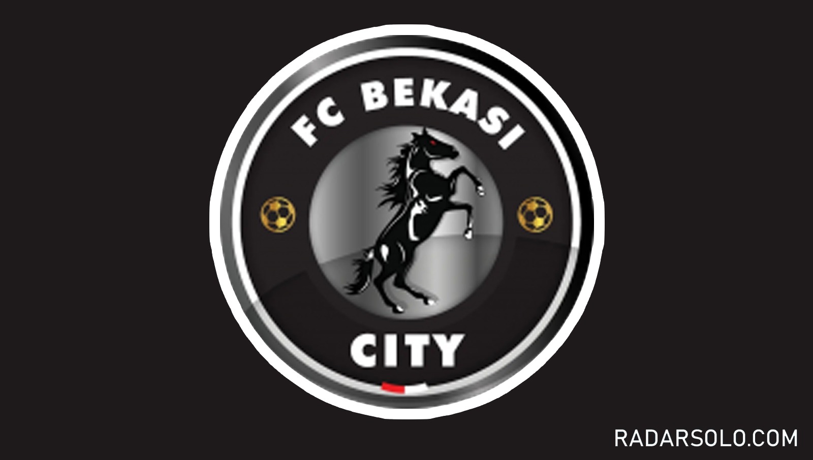 Logo FC Bekasi City