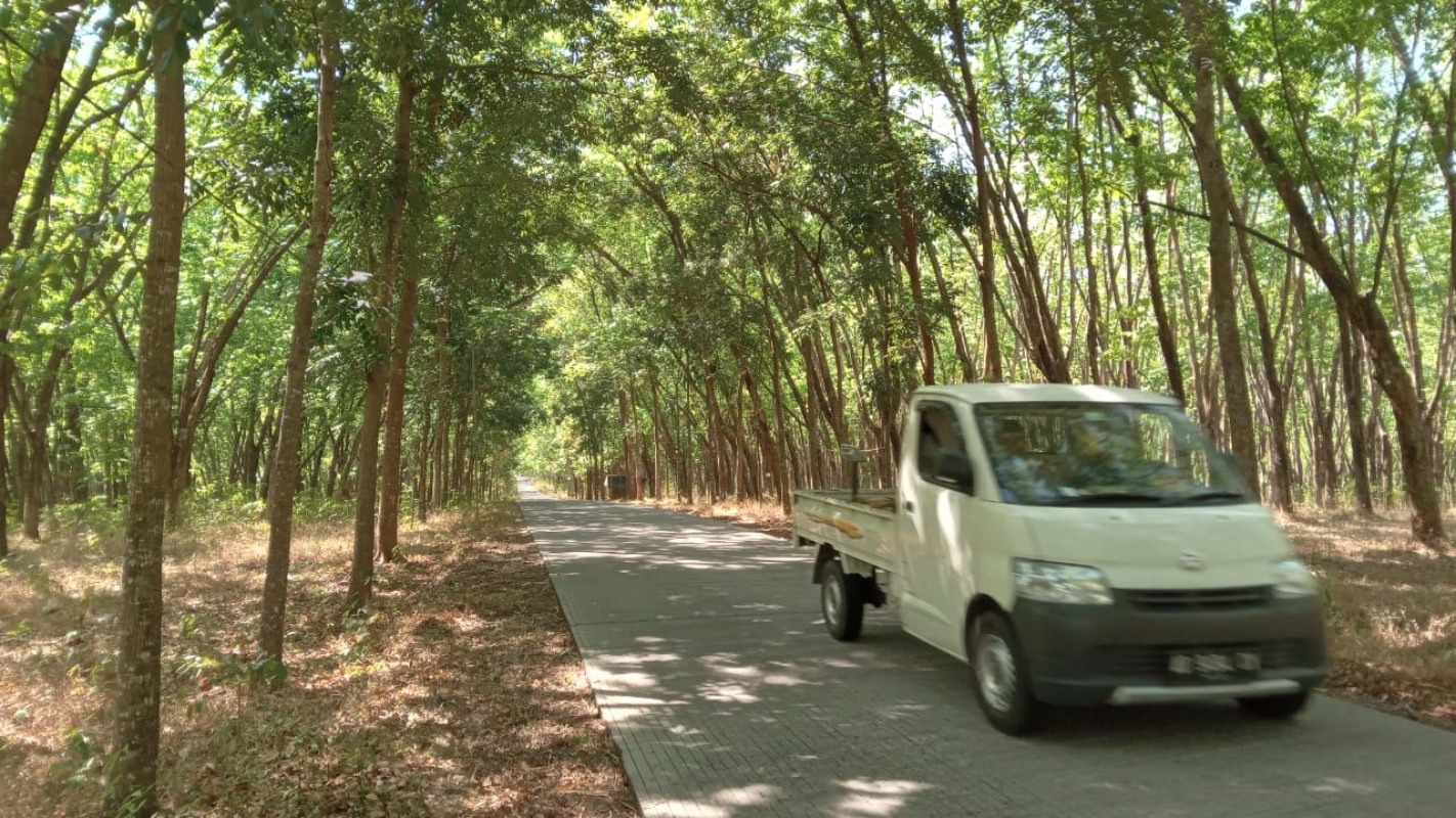 LENGANG: Kondisi jalan di tengah kawasan alas karet di Kecamatan Polokarto, Sukoharjo, yang dipercaya menyimpan banyak cerita misteri, belum lama ini.