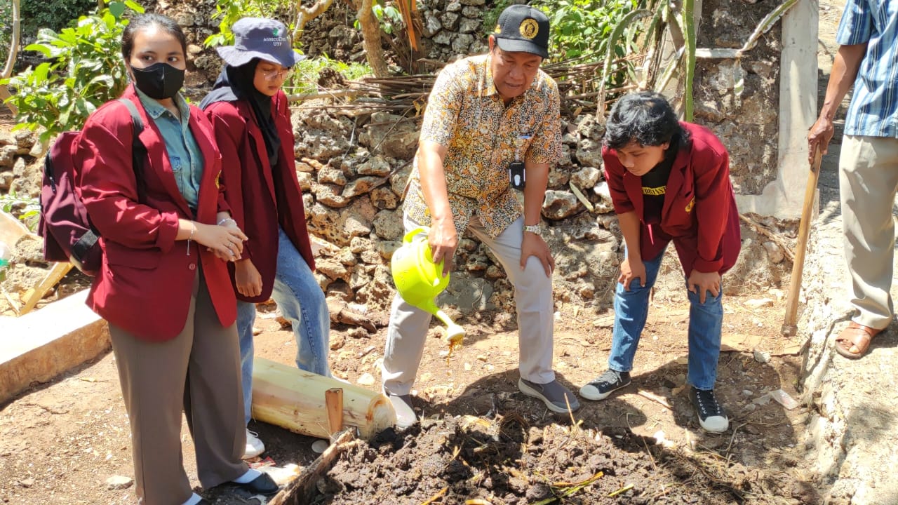 FP UTP membantu optimalisasi sektor pertanian khususnya penanaman cabai jamu.