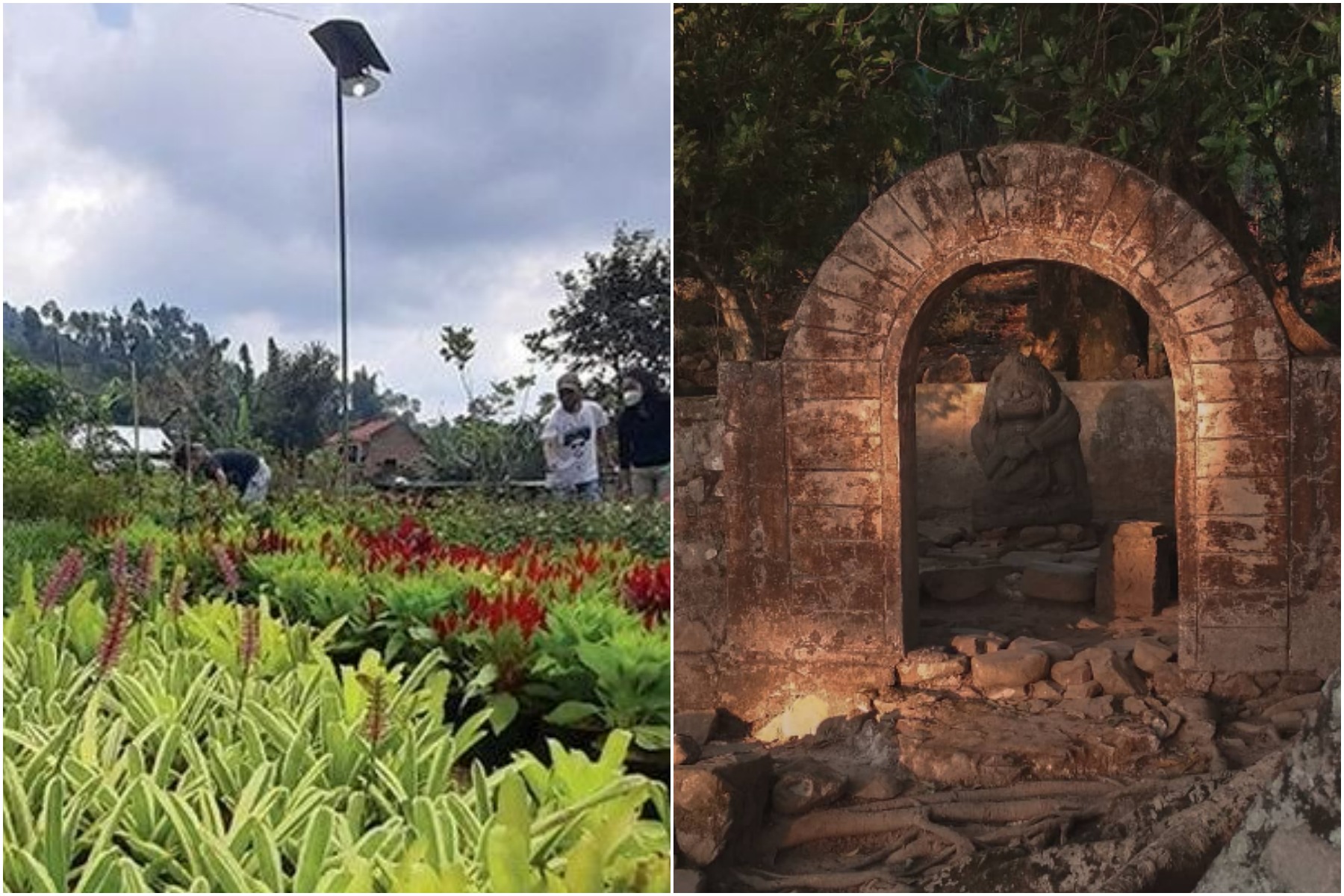 Kampung Wisata Sewu Kembang di Nglurah, Tawangmangu, Karanganyar suguhkan beragam tanaman hias dan Situs Menggung.