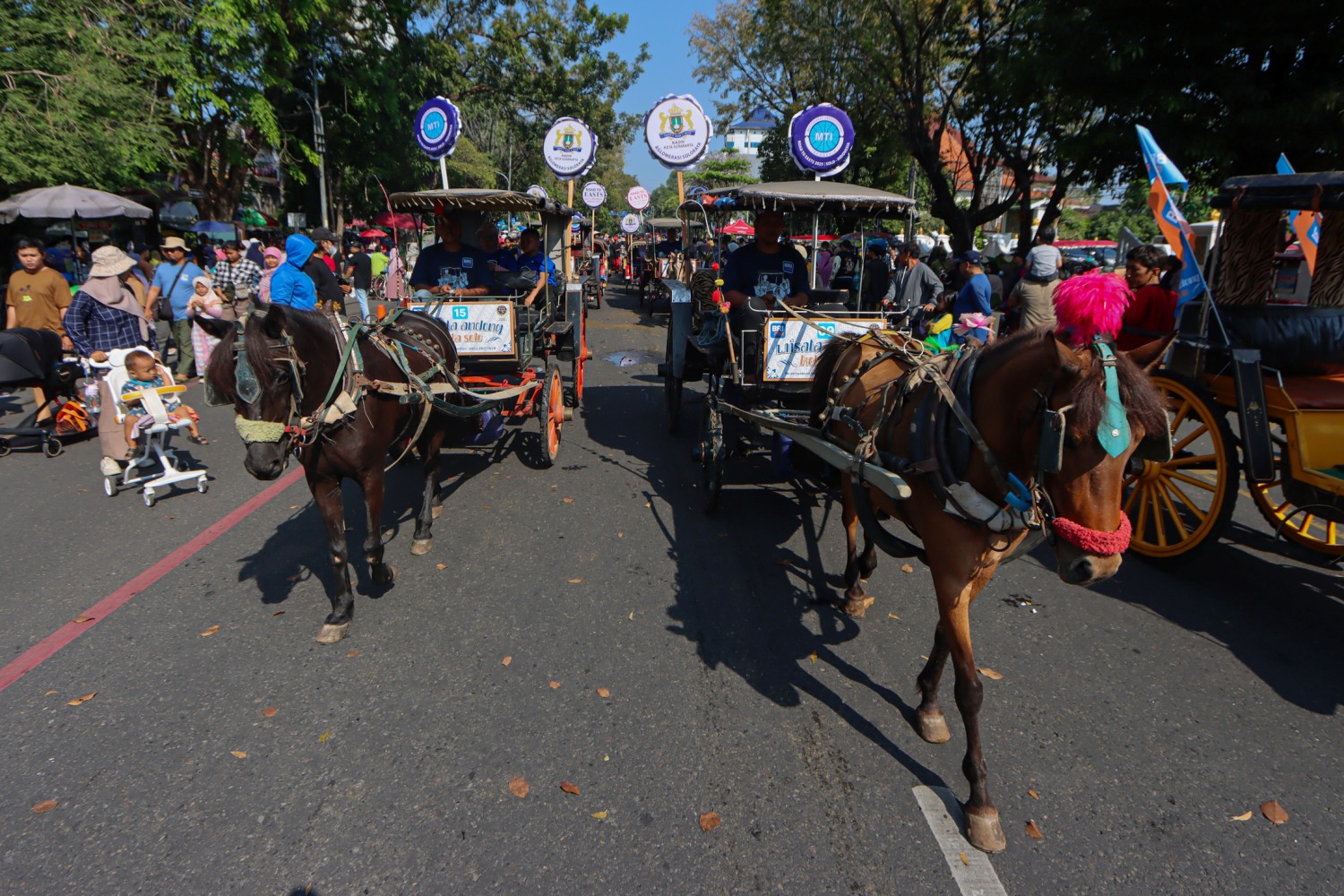 Kirab transportasi tradisional di Jl Slamet Riyadi saat gelaran CFD, Minggu (15/9/2024). Sejumlah andong wisata pun ikut dikirab dan dipromosikan ulang sebagai salah satu transportasi wisata.