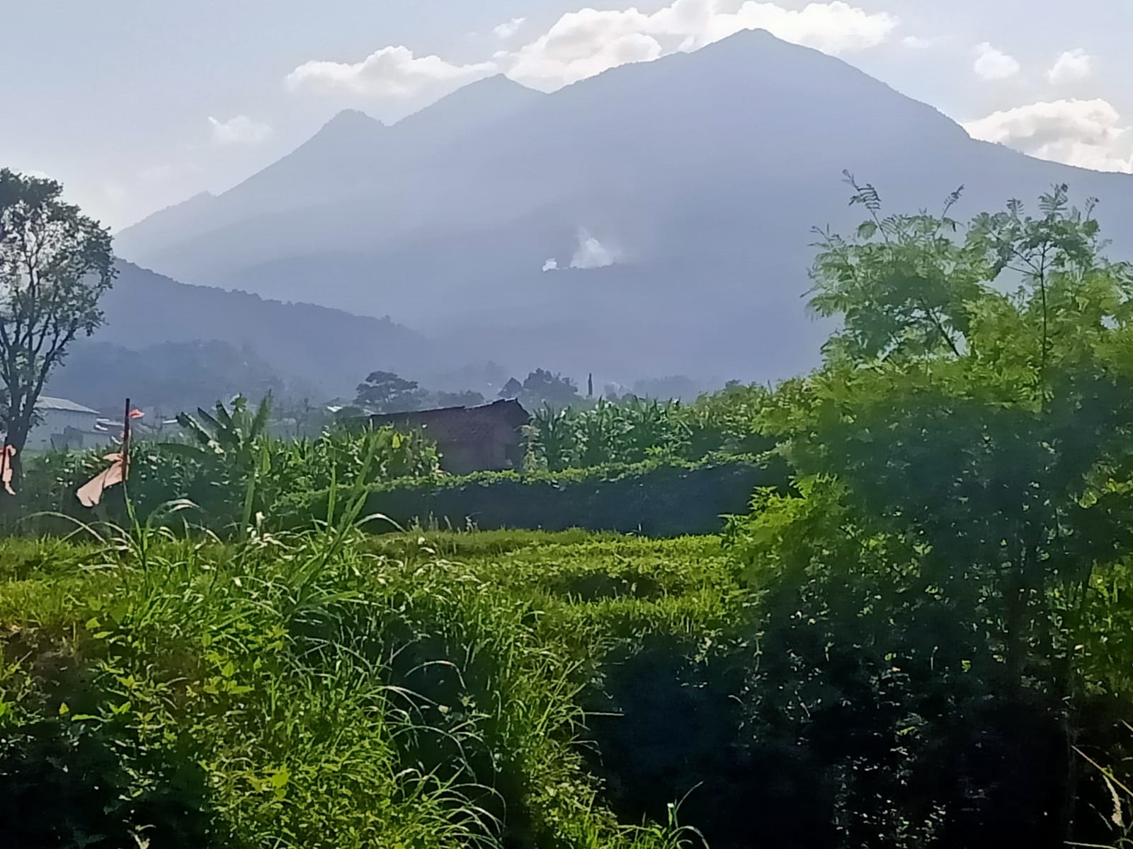 Kepulan asap kebakaran hutan Gunung Lawu di Tawangmangu, Karanganyar terlihat pada Minggu (15/9/2024). (Rudi Hartono/Radar Solo)