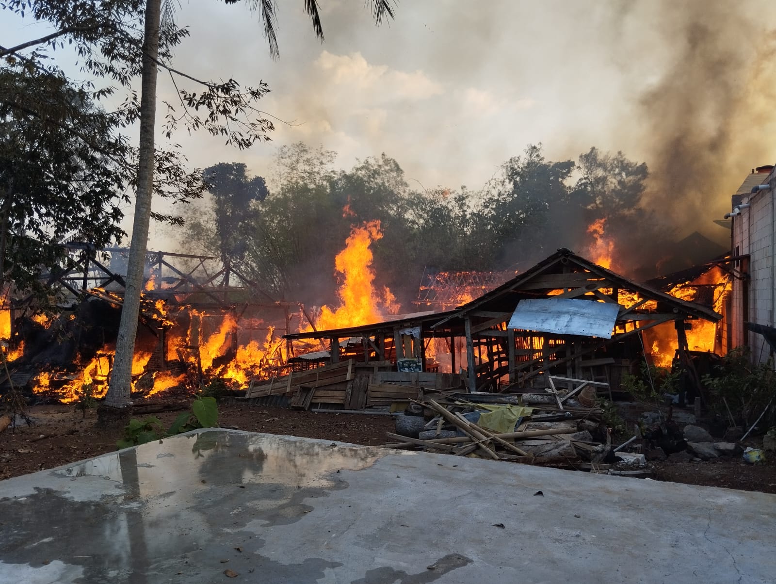 Kebakaran di wilayah Kelurahan Kayuloko Kecamatan Sidoharjo, Wonogiri, Minggu (30/9/2024).