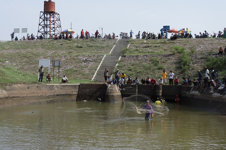 Hanya segelintir warga warga yang mencoba peruntungan menjaring ikan di Saluran Induk Colo Barat setelah dikeringkan airnya, Selasa pagi (1/10).