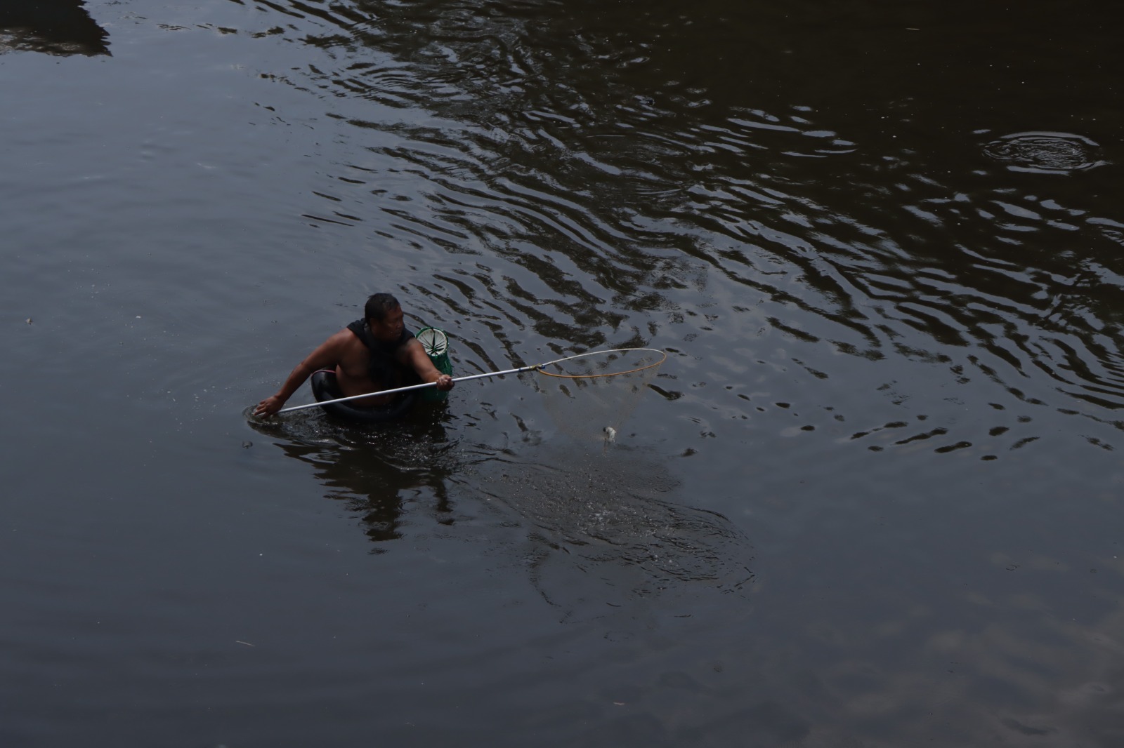 Masyarakat di wilayah Kampung Sewu mememanfaatkan fenomena pladu untuk mencari ikan (22/10/2024)