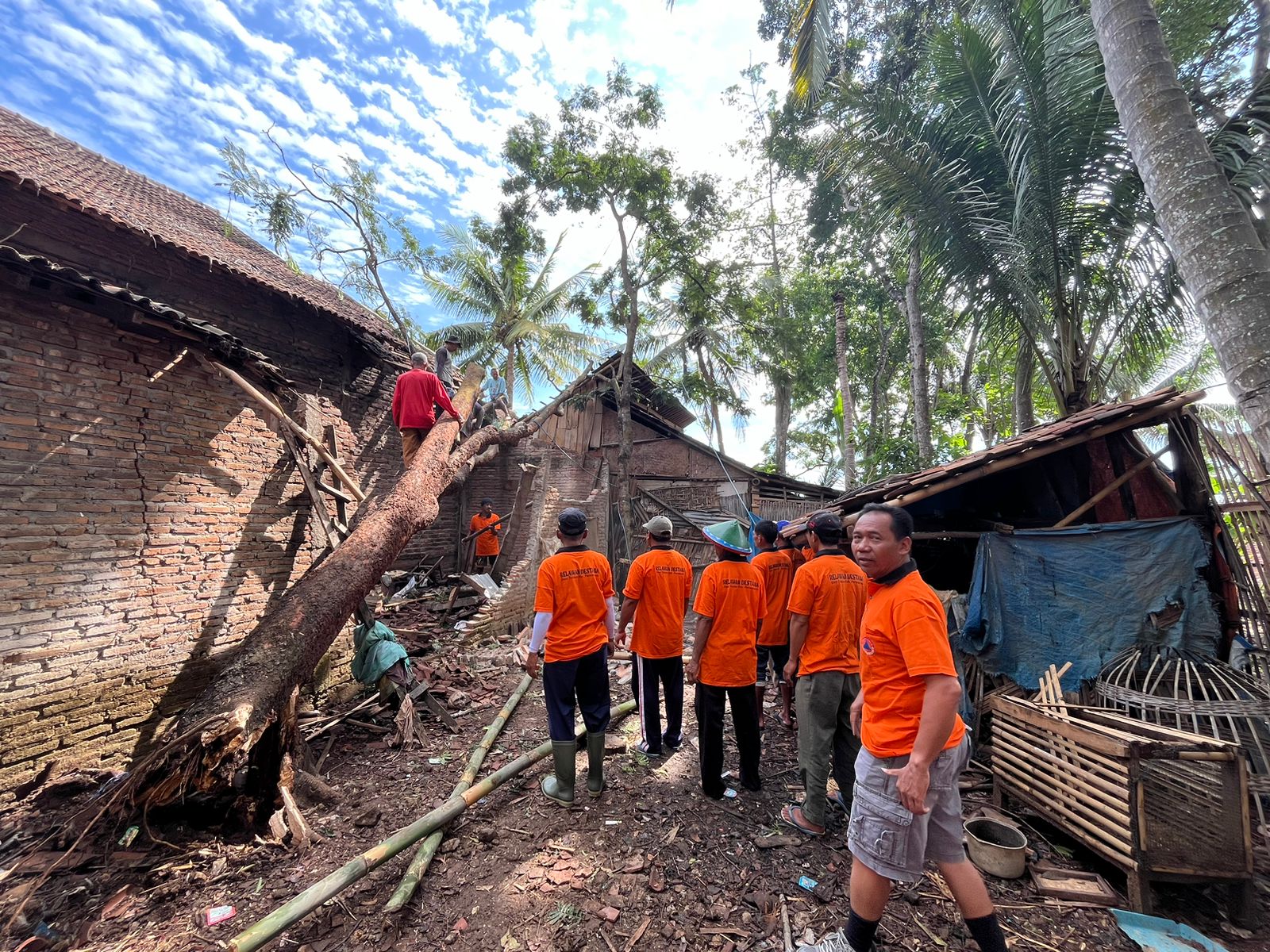 Penanganan dampak pohon tumbang yang menimpa rumah warga di Dusun Jajar RT 02 RW 02 Desa Talesan Kecamatan Purwantoro Senin (4/11/2024).