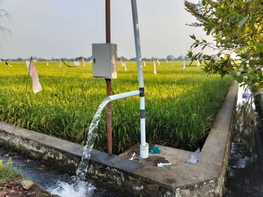 Lahan pertanian di Desa Karangwuni, Kecamatan Polokarto, Sukoharjo diguyur air sumur dalam, Kamis (7/11).