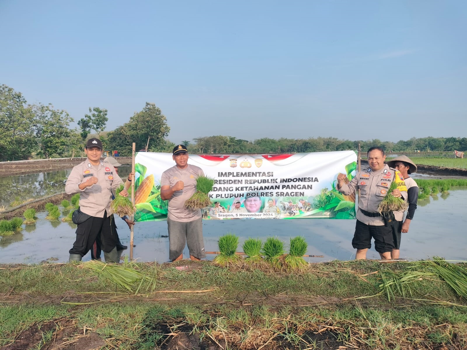 Jajaran Polres Sragen dukung program swasembada pangan nasional dengan mengoptimalkan lahan pertanian padi. (Ahmad Khairudin/Radar Solo)