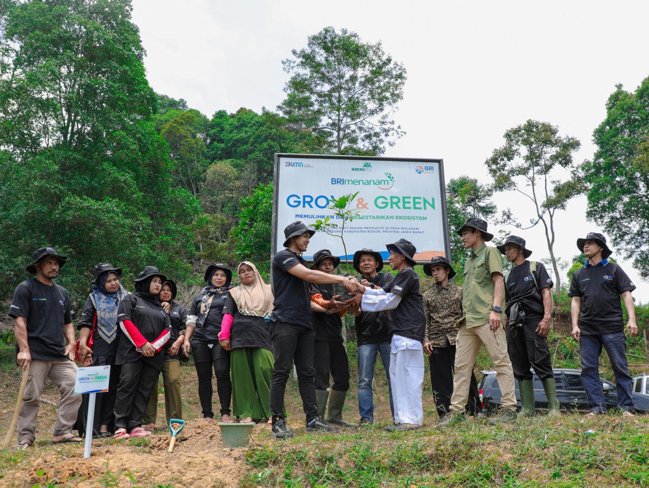 BRI Menanam-Grow & Green bantu pulihkan hutan bekas tambang di Bogor.