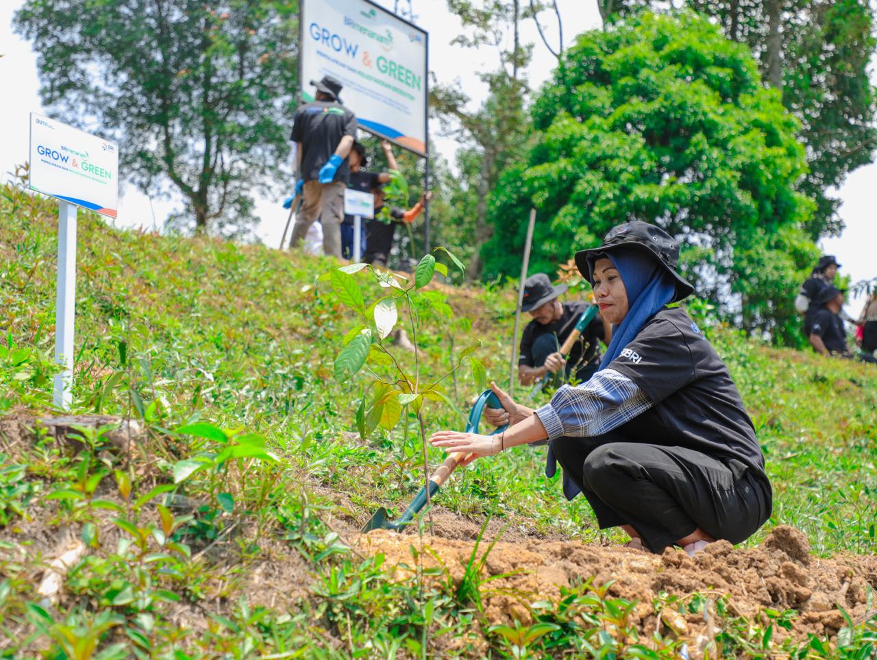BRI Menanam-Grow & Green bantu pulihkan hutan bekas tambang di Bogor.
