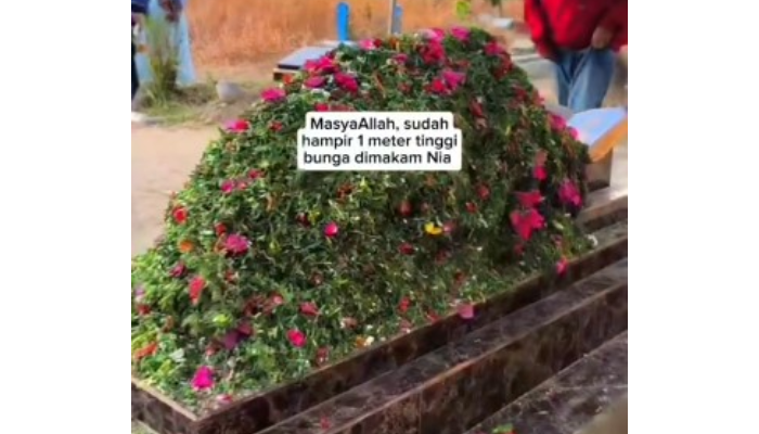 Penampakan makam Nia Kurnia Sari, gadis penjual gorengan di Padang Pariaman yang penuh dengan taburan daun pandan dan bunga yang menggunung.