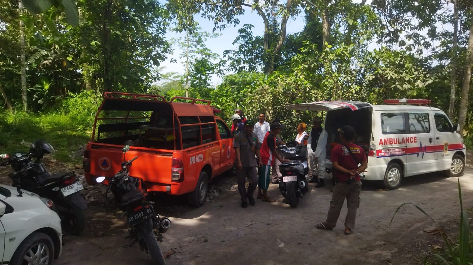Relawan mengevakuasi warga yang tersengat tawon di Desa Gemampir, Kecamatan Karangnongko, Klaten. (Angga Purenda/Radar Solo)