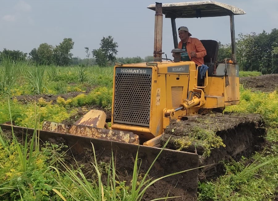 Potensi pertanian di Desa Pengkok, Kecamatan Kedawung, Kabupaten Sragen. (Ahmad Khairudin/Radar Solo)